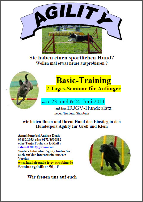 Agility_Basis